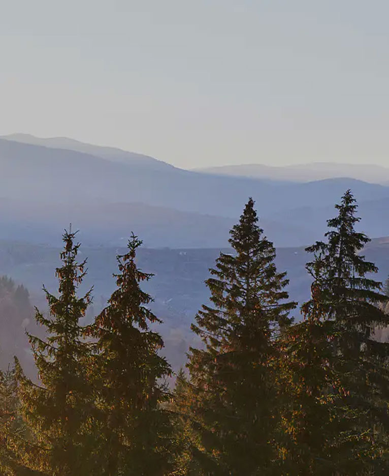 Papan Melamin Desain Kulit